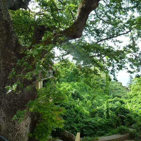 Marinos At Lourdata Village Διαμέρισμα *