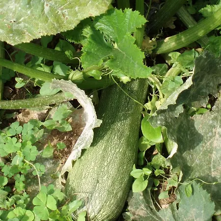 Διαμέρισμα Marinos At Lourdata Village Λουρδάτα