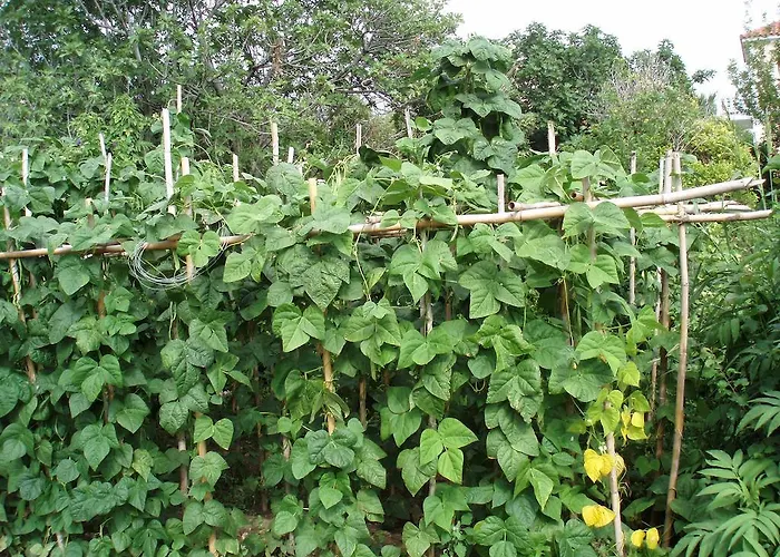 דירה Marinos At Lourdata Village