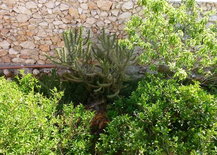 Marinos At Lourdata Village לואורדטה