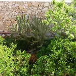 Marinos At Lourdata Village Λουρδάτα